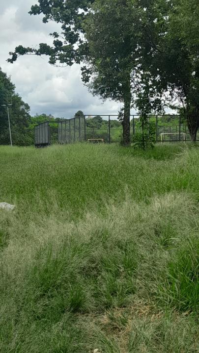 Foto 5 de 16 — Praça do Selmi Dei fica mais de 5 meses sem limpeza e moradores relatam aparecimento de cobras